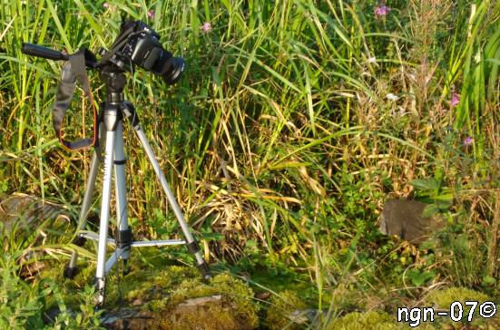 Fotografering med fjärrutlösare ©NGN-foto