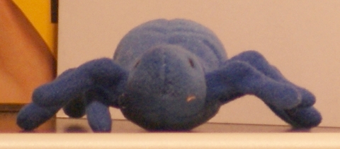 [Bild: SONY DSLR a230, 10,2 Mpix, objektiv: SIGMA 70-300mm, f/4.5,6]