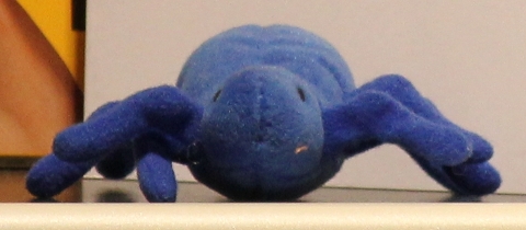 [Bild: CANON EOS 550D, 18 Mpix, objektiv: 55-250mm, f/4-5,6]