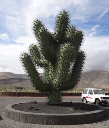 [Bild: Plastkaktus vid jardin de Cactus, Lanzarote]