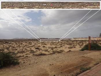 [Bild: Halvmara 21km i Corralejo Sandöken, Fuerteventura]