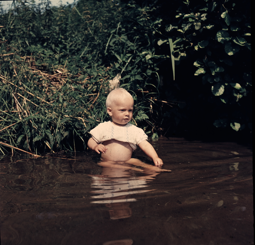 [Bild: Lite över 1 år ung Nisse sitter och funderar i ett vatten]