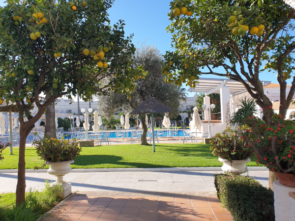 [Bild: En av innergårdarna (poolen) i Hotel Playa de la Luz i Rota]