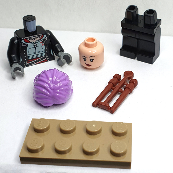 [Bild: LEGO® Harry
      Potter 76404 Lucka 15]